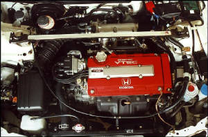 2184_7mg.jpg